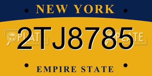 2TJ8785 New York License Plate