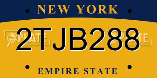 2TJB288 New York License Plate