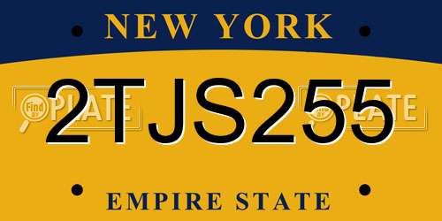 2TJS255 New York License Plate