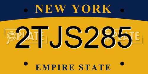 2TJS285 New York License Plate