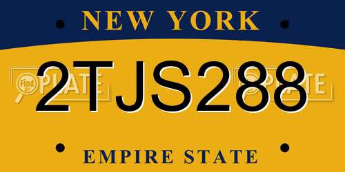 2TJS288 New York License Plate