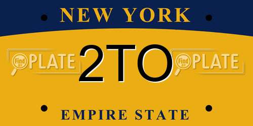 2TO New York License Plate