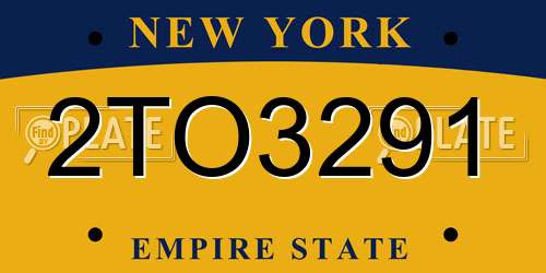 2TO3291 New York License Plate