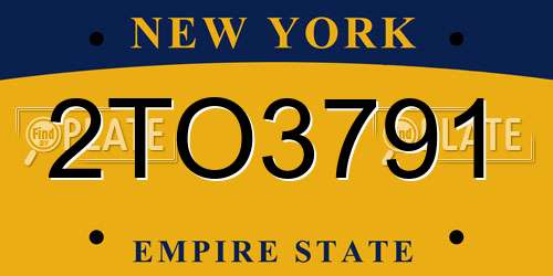 2TO3791 New York License Plate