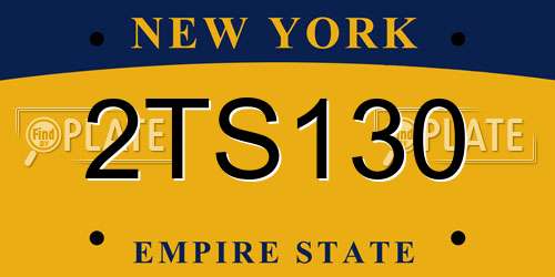 2TS130 New York License Plate