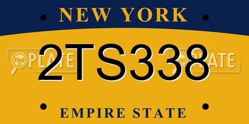 2TS338 New York License Plate