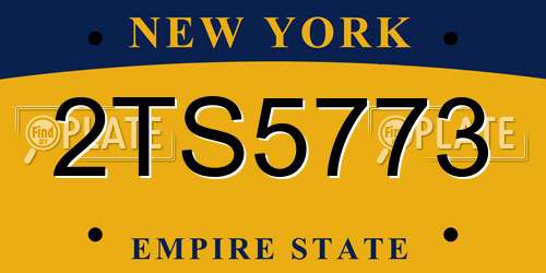 2TS5773 New York License Plate