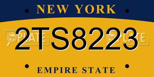 2TS8223 New York License Plate