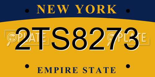 2TS8273 New York License Plate