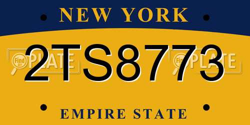 2TS8773 New York License Plate
