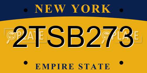 2TSB273 New York License Plate