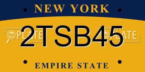 2TSB45 New York License Plate