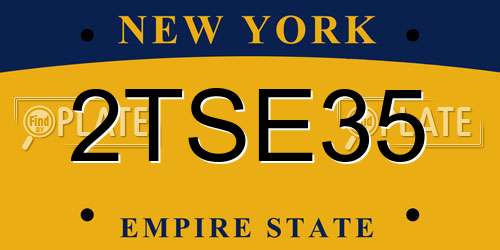 2TSE35 New York License Plate