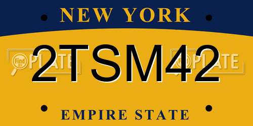 2TSM42 New York License Plate