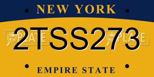 2TSS273 New York License Plate