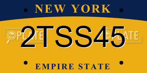 2TSS45 New York License Plate
