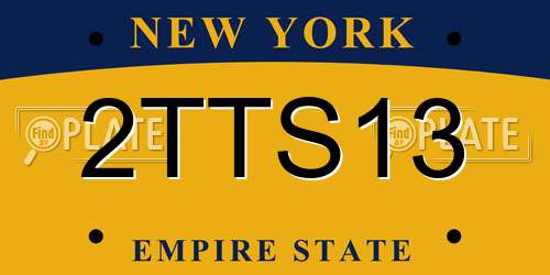 2TTS13 New York License Plate