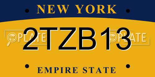 2TZB13 New York License Plate