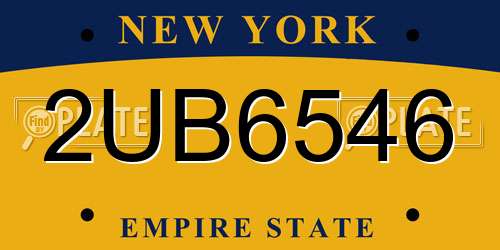 2UB6546 New York License Plate