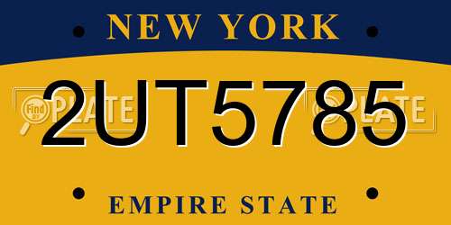 2UT5785 New York License Plate