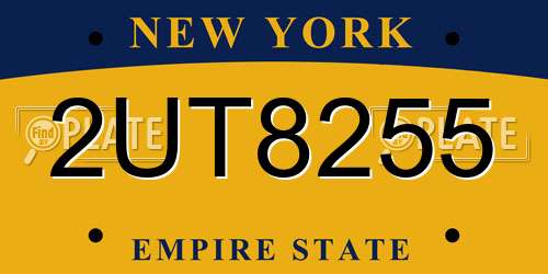 2UT8255 New York License Plate