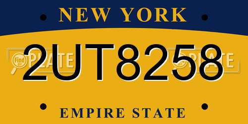 2UT8258 New York License Plate