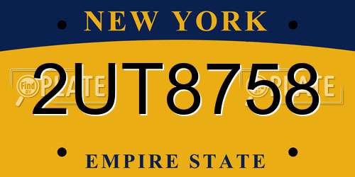 2UT8758 New York License Plate