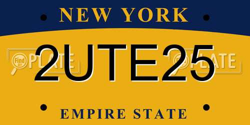 2UTE25 New York License Plate