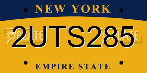 2UTS285 New York License Plate