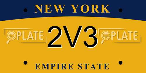 2V3 New York License Plate