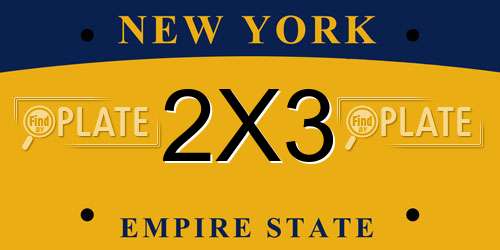 2X3 New York License Plate