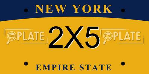 2X5 New York License Plate