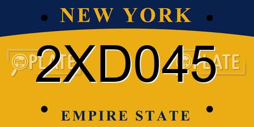 2XD045 New York License Plate