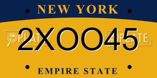2XOO45 New York License Plate