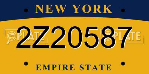 2Z20587 New York License Plate
