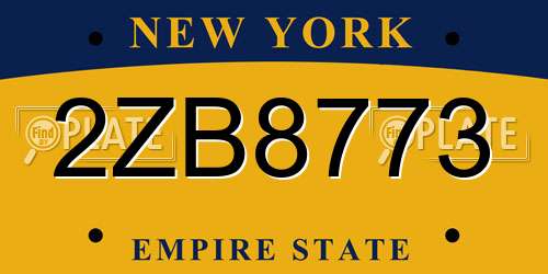 2ZB8773 New York License Plate