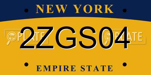 2ZGS04 New York License Plate