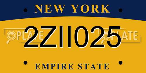 2ZII025 New York License Plate