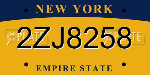 2ZJ8258 New York License Plate