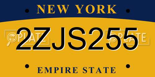 2ZJS255 New York License Plate