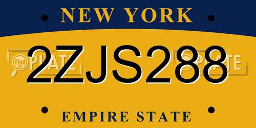 2ZJS288 New York License Plate