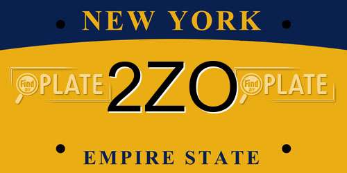 2ZO New York License Plate