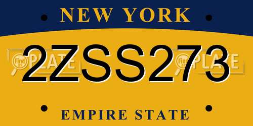 2ZSS273 New York License Plate