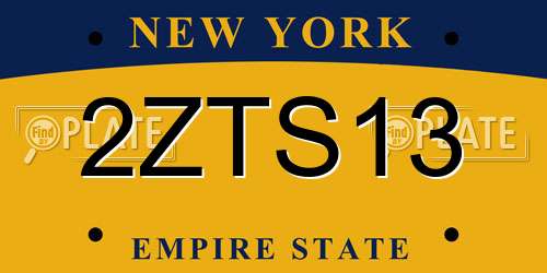 2ZTS13 New York License Plate