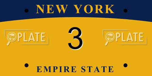 3 New York License Plate