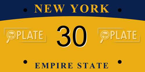30 New York License Plate