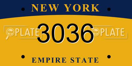 3036 New York License Plate