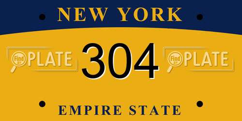 304 New York License Plate