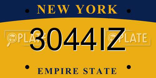 3044IZ New York License Plate