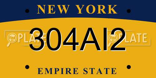 304AI2 New York License Plate